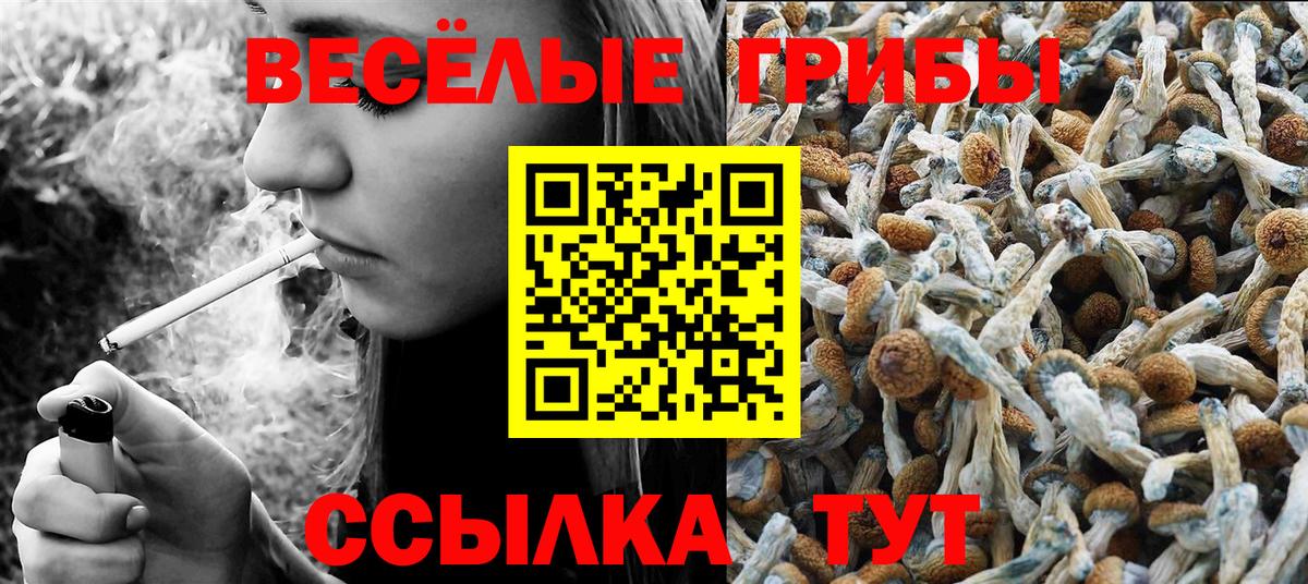 купить закладку  Галлюциногенные грибы MAGIC MUSHROOMS  Вход с VPN  Партизанск  Галлюциногенные грибы Cubensis 